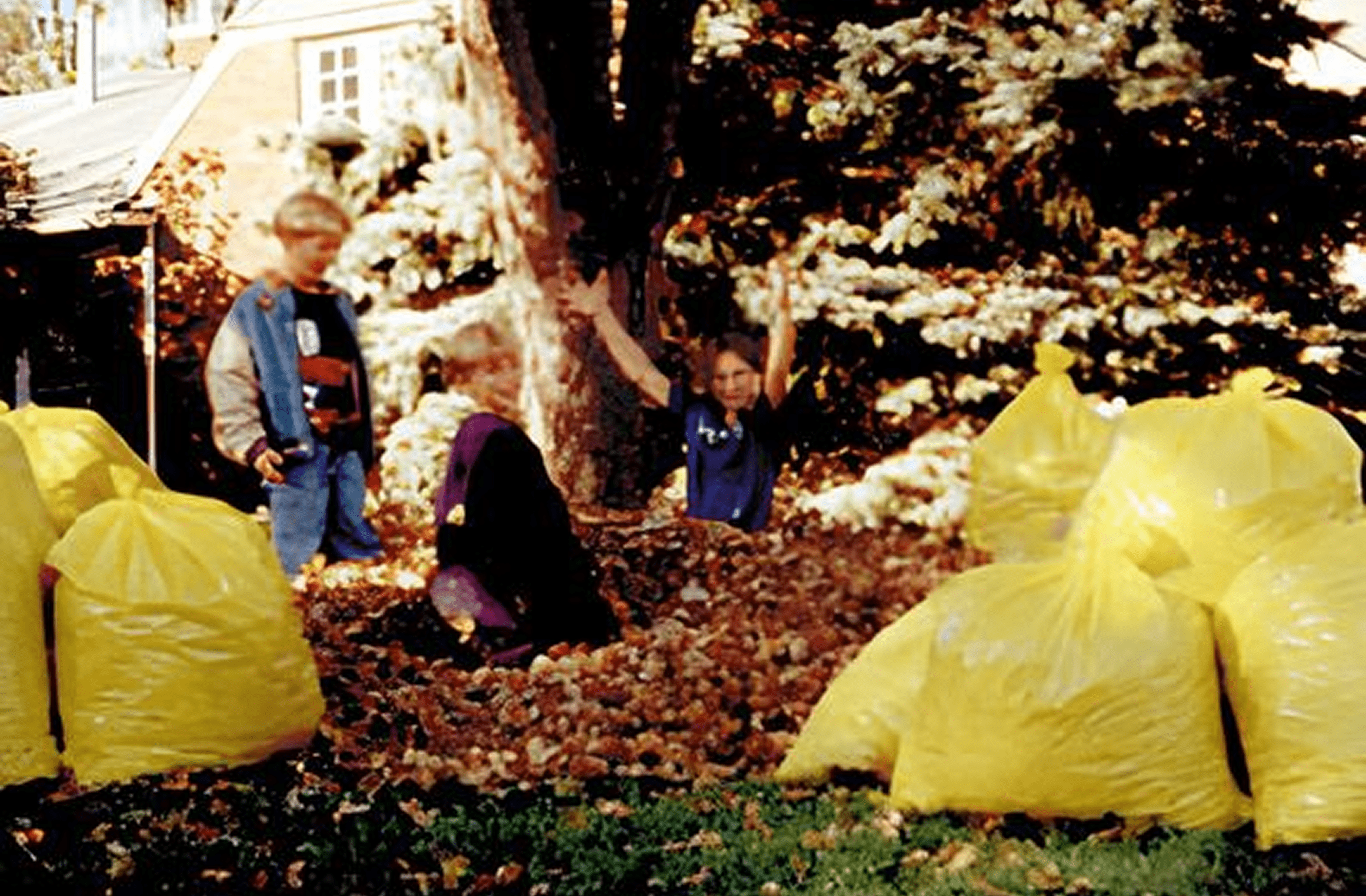 Children playing in autumn leaves