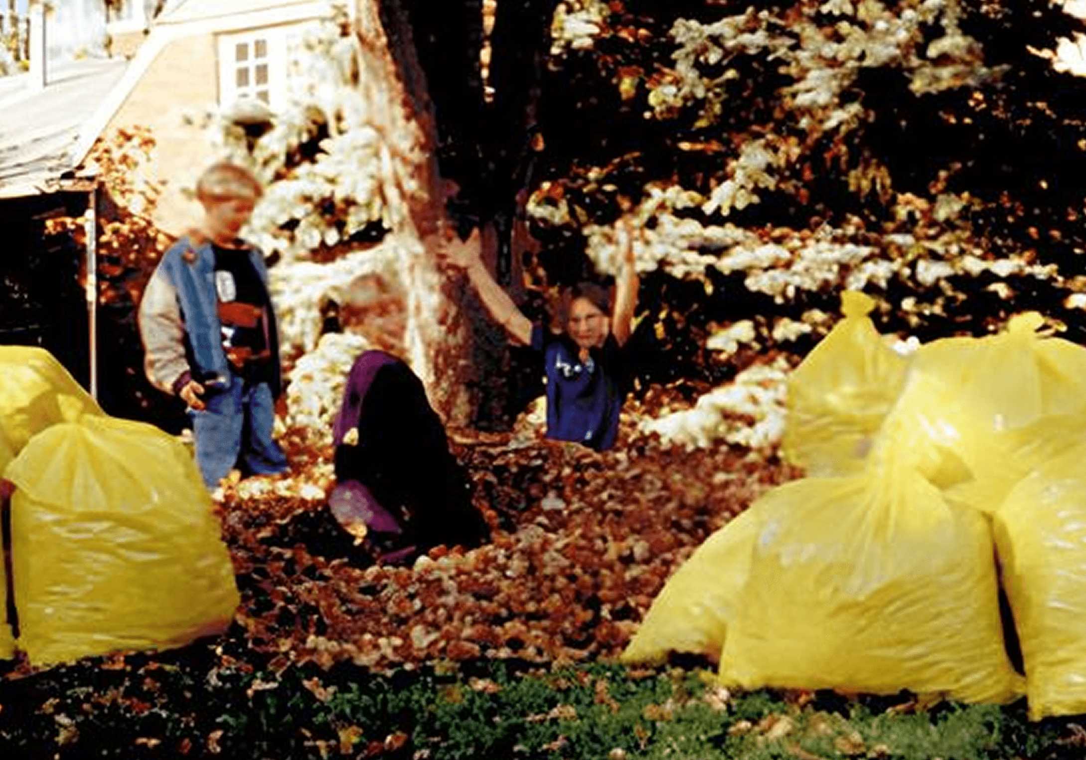 Children playing in autumn leaves